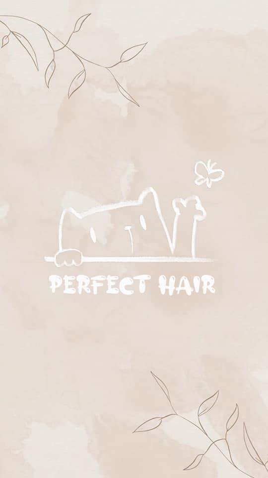 Perfect hair salon